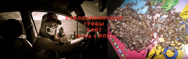 MDMA Premium VHQ Беломорск