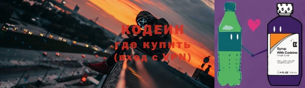 дурь Болохово