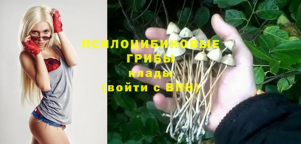 spice Белоозёрский
