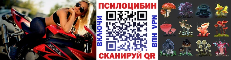 наркошоп  Саяногорск  Псилоцибиновые грибы мухоморы 